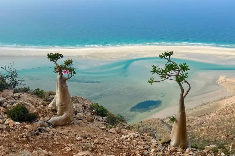 Socotra Island, Yemen