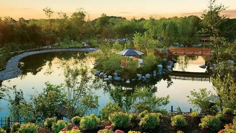 Visit Frederick Meijer Gardens & Sculpture Park