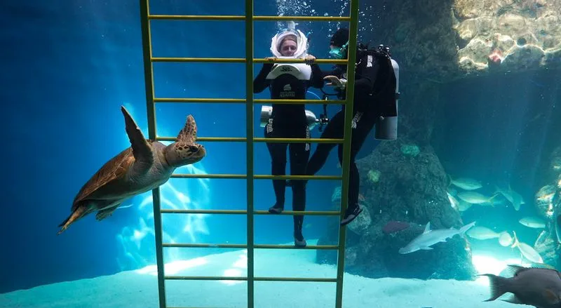 The Florida Aquarium - Underwater Adventure