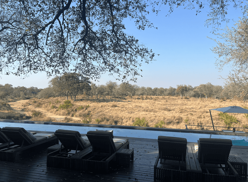 Sabi Sand Game Reserve, South Africa