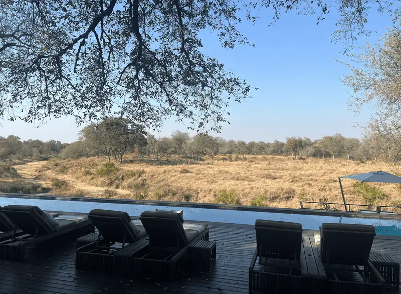 Sabi Sand Game Reserve, South Africa