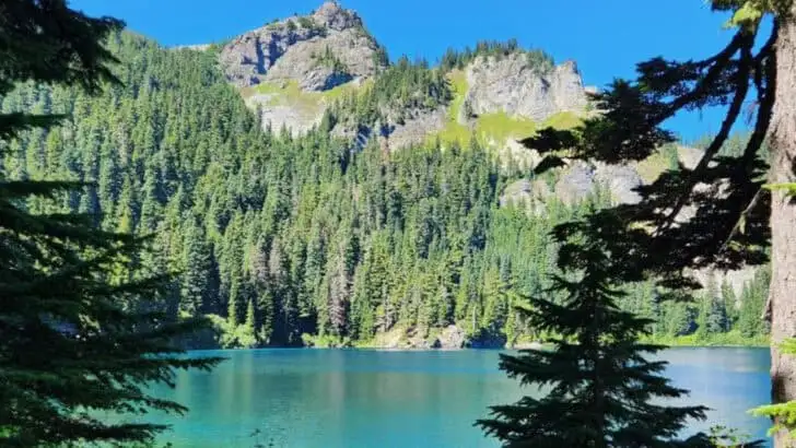 The 18 Best Things to do in Yosemite National Park with Kids on a Family Vacation