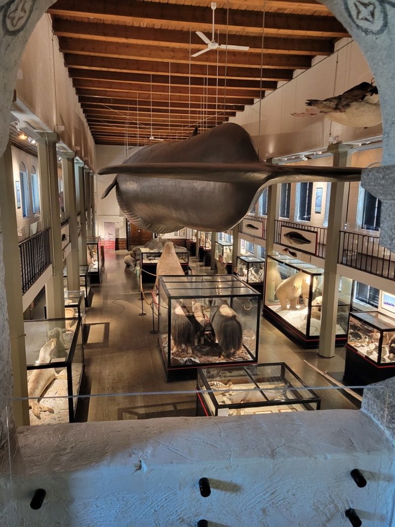 The Whaling History of Sandefjord