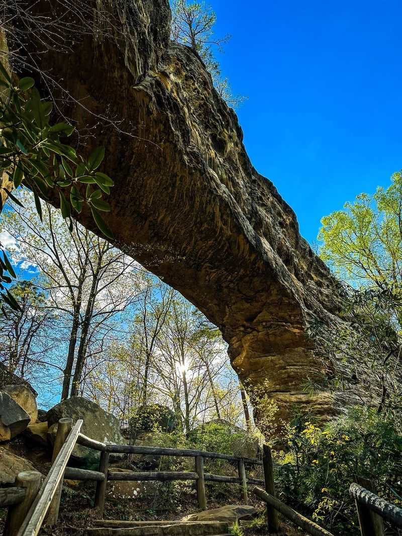 Natural Bridge State Resort Park