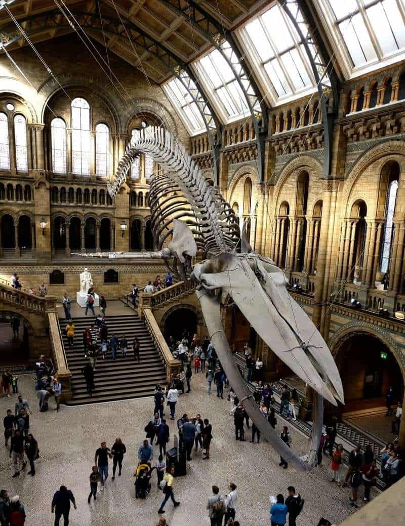 The V&A Museum, London
