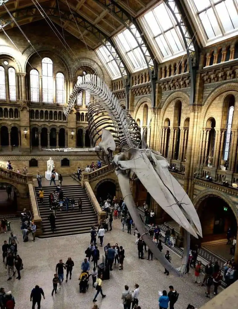 The V&A Museum, London