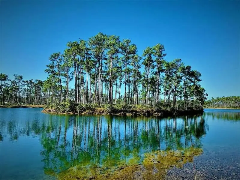 Everglades National Park, Florida