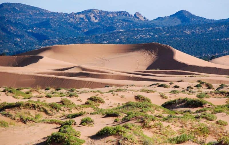 Coral Pink Sand Dunes State Park