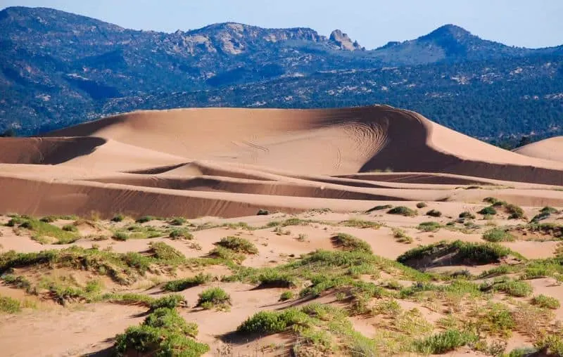 Coral Pink Sand Dunes State Park