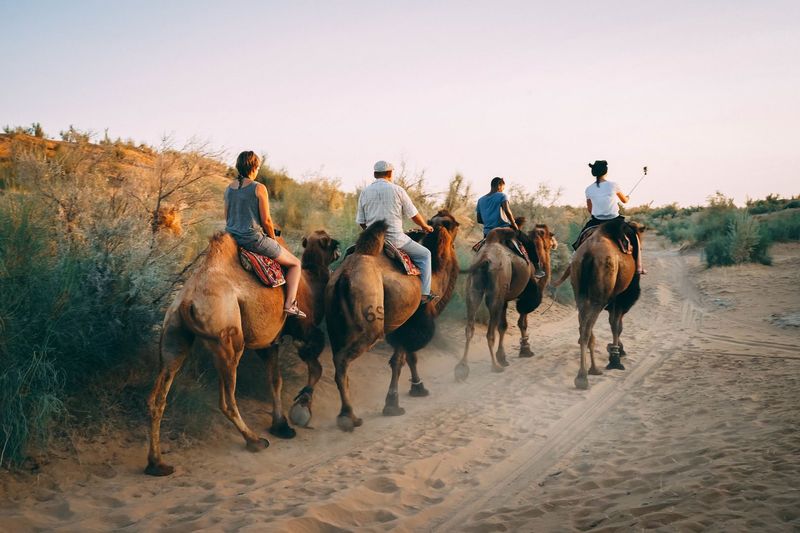 Silk Road, Central Asia