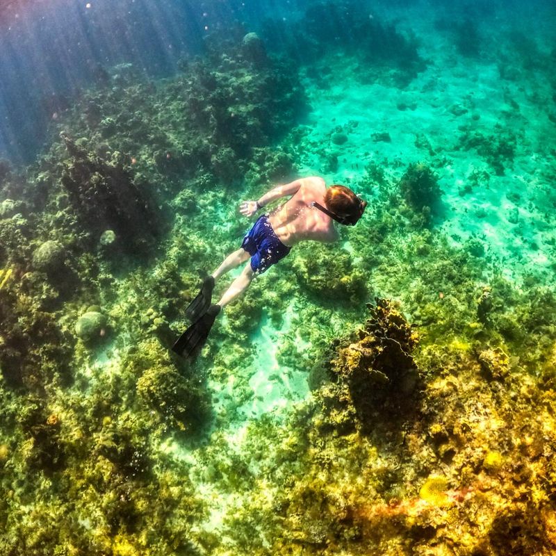 Go Snorkeling in Montego Bay Marine Park