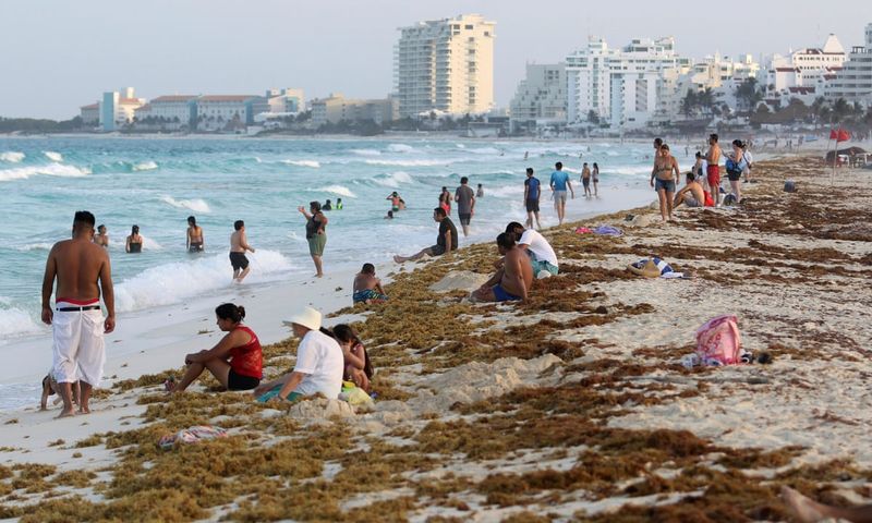 Sargassum Invasion