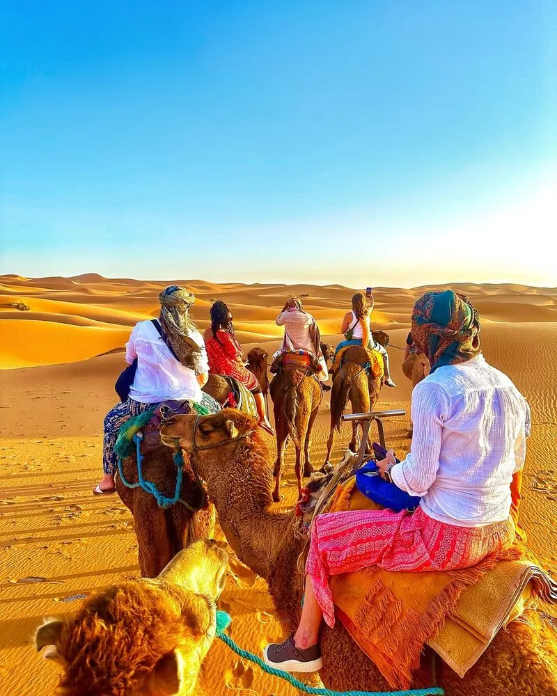 Camel Trekking in Morocco