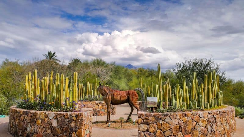 Tohono Chul Park