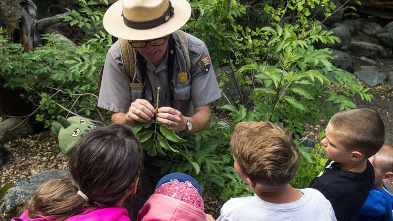Junior Ranger Program