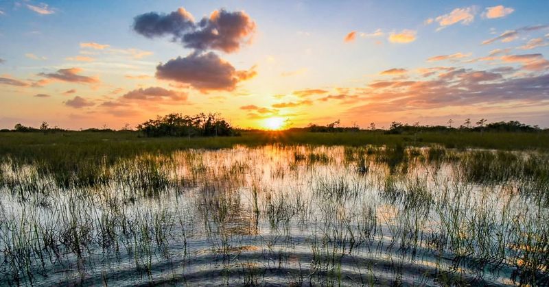 Everglades National Park