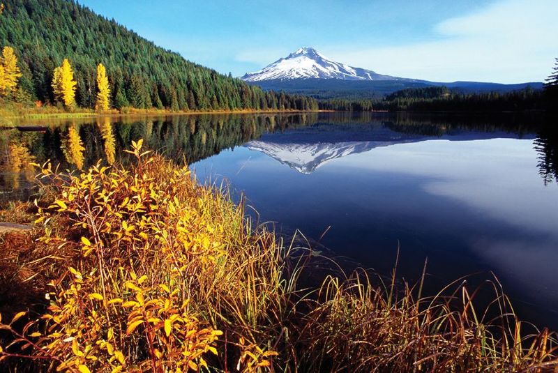 Mt. Hood National Forest