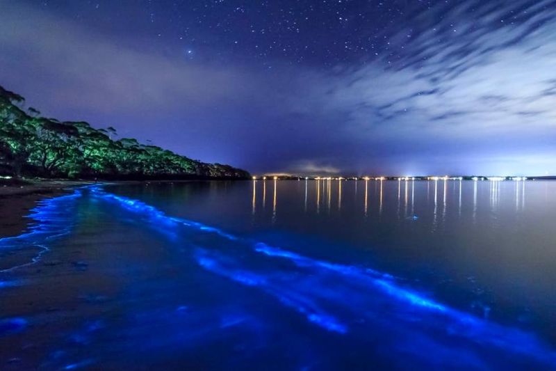 Vieques, Puerto Rico