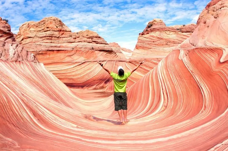 The Wave