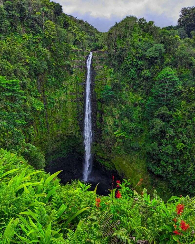 Stop at Akaka Falls State Park