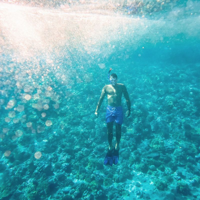 Swim and Snorkel at Punaluʻu Black Sand Beach