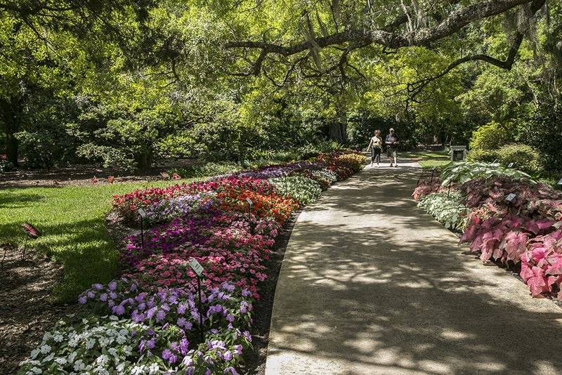 Wander through Leu Gardens