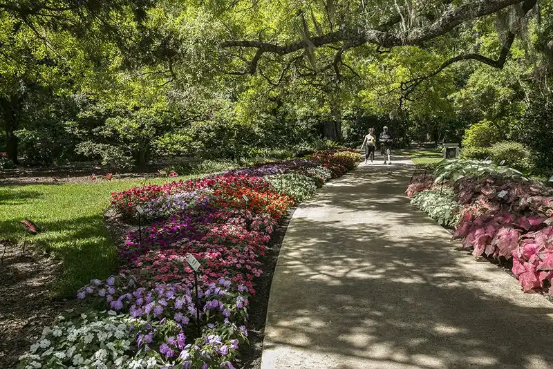 Wander through Leu Gardens