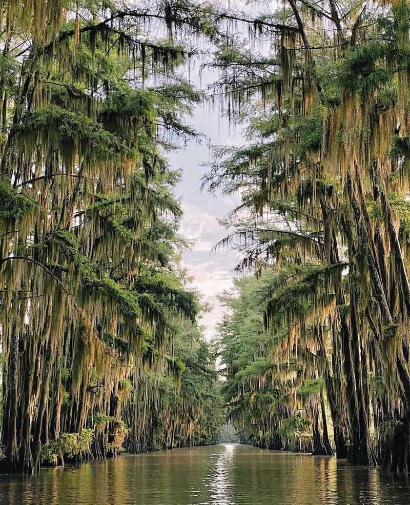 Caddo Lake, Texas