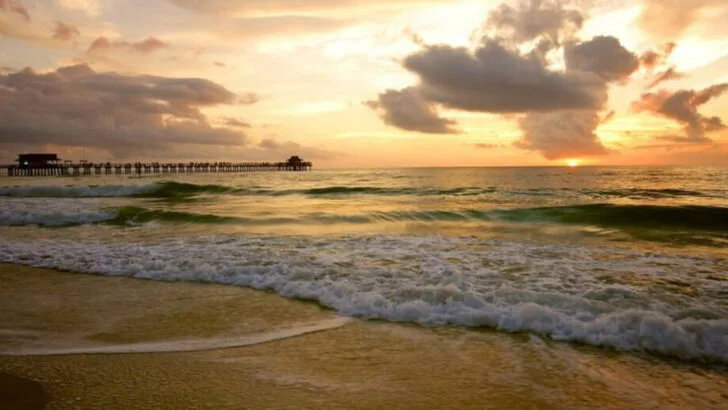 Why South Marco Beach Is a Family Favorite in Florida