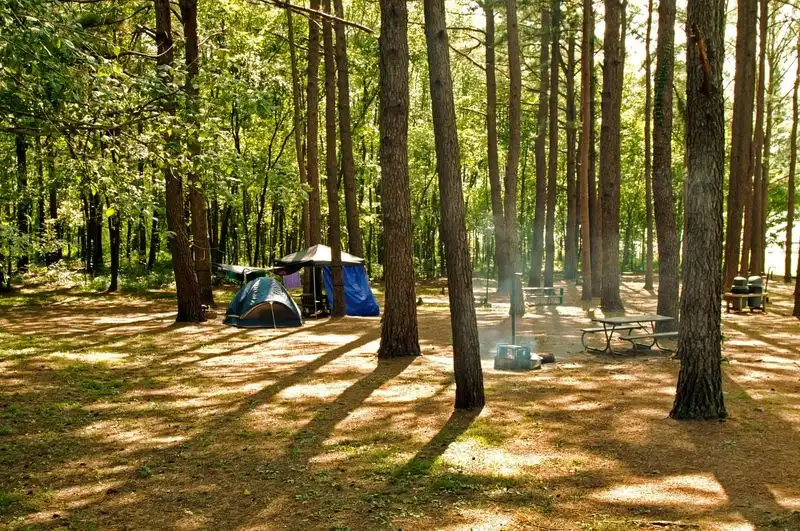 Camping Under the Stars