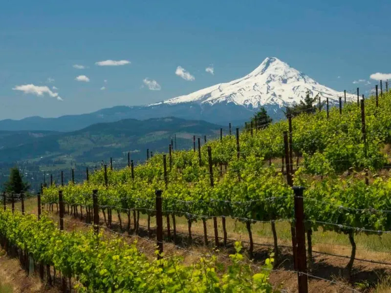 Wine Country Trails