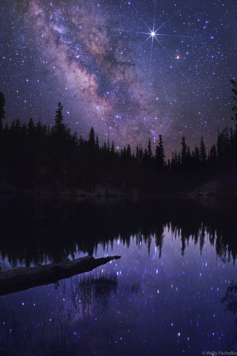 Starry Night Skies