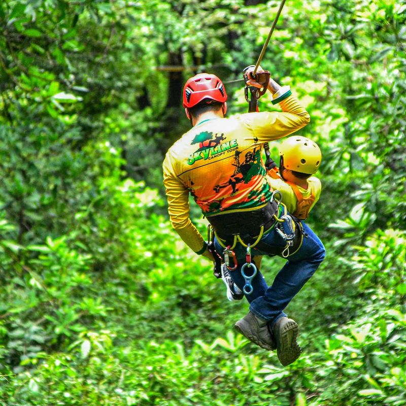 Tree Frog Canopy Tours
