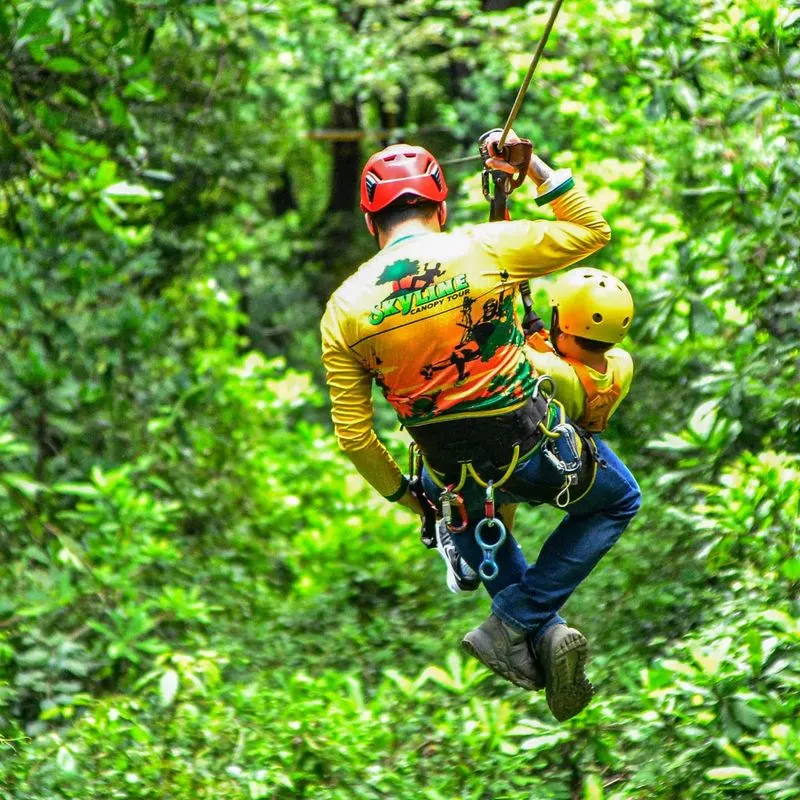 Tree Frog Canopy Tours