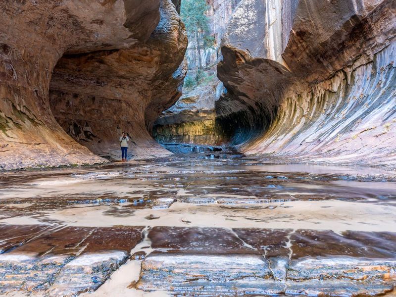 Zion National Park