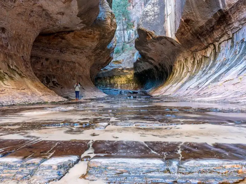 Zion National Park