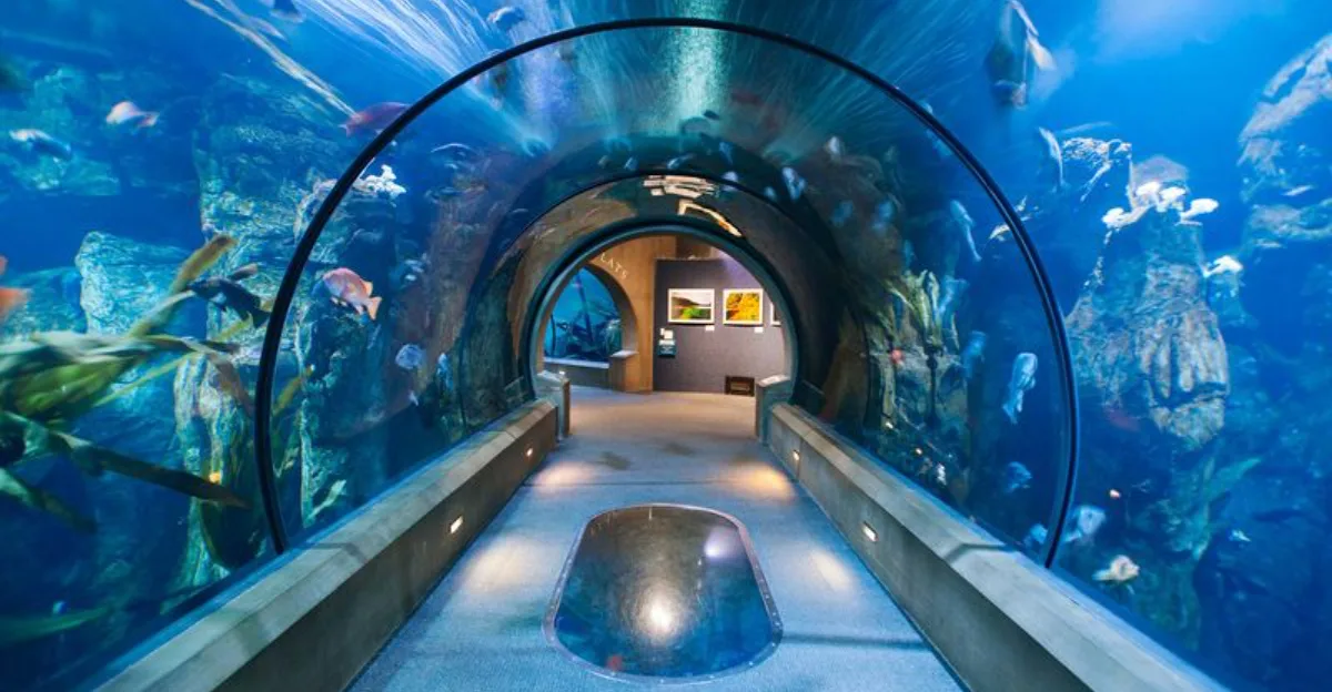 the-12-best-aquariums-in-america