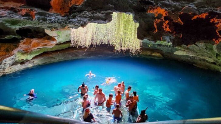 10 Tourist Traps to Avoid in Florida—and 8 Places Locals Actually Love