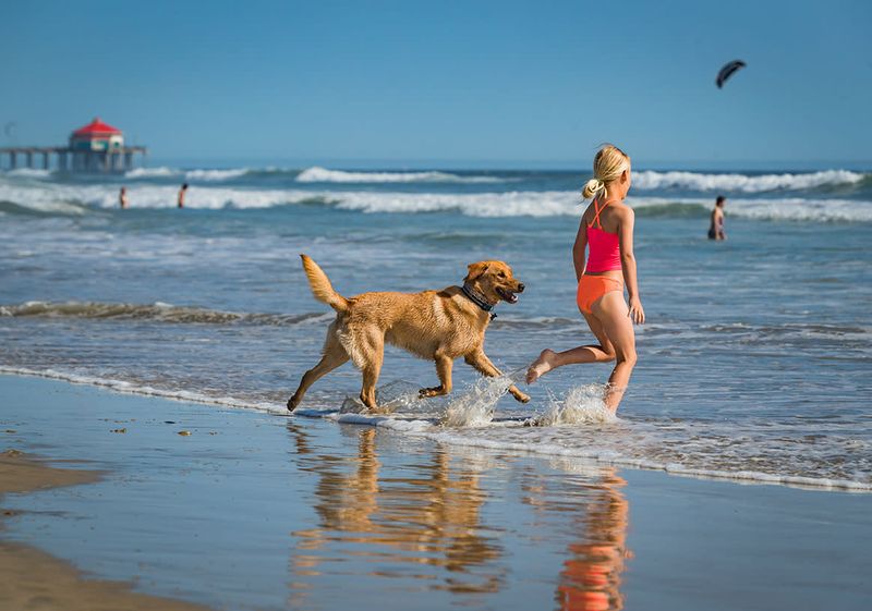 Huntington Dog Beach – Huntington Beach, California