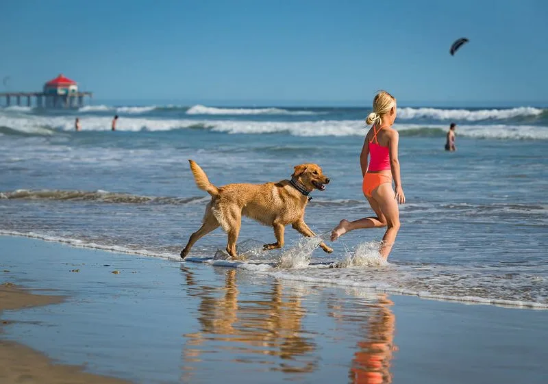 Huntington Dog Beach – Huntington Beach, California