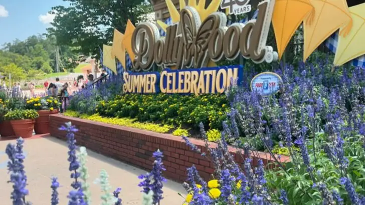 11 Exciting New Reasons to Visit Dollywood with Your Family in 2025
