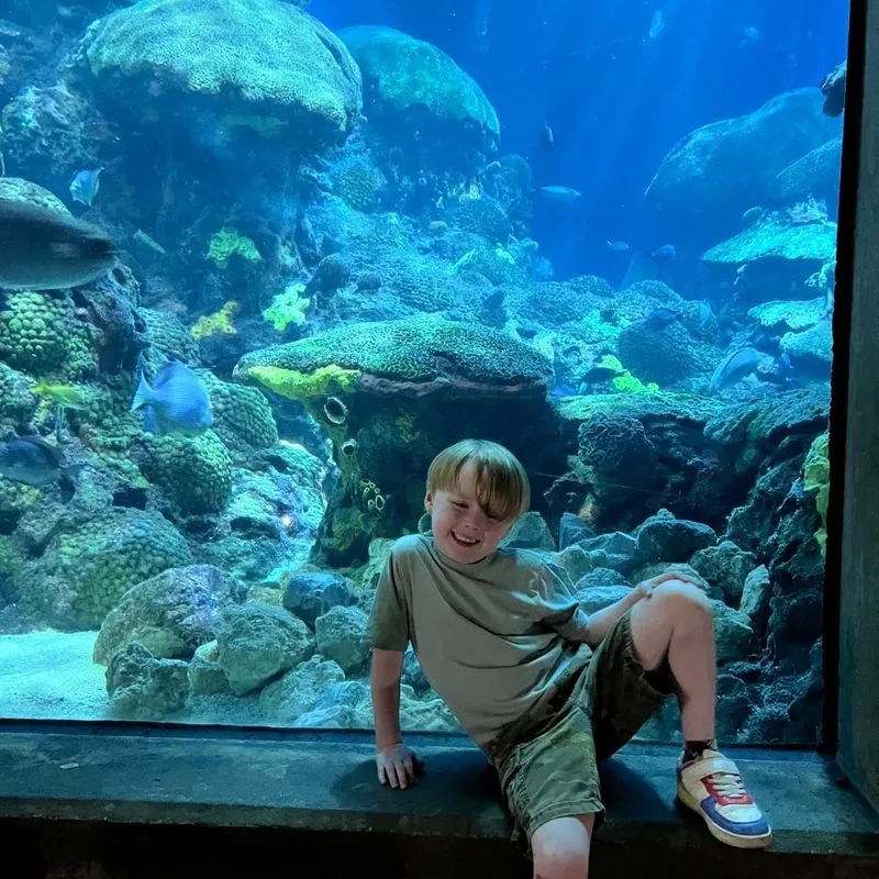 Tennessee Aquarium