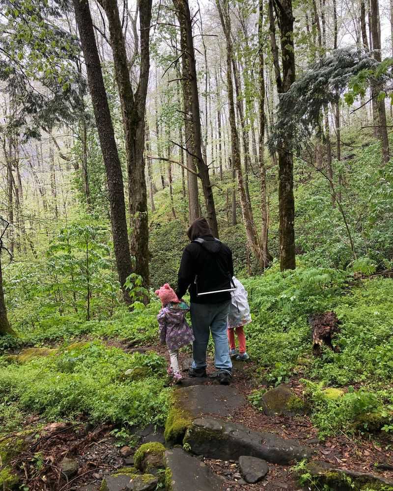 Explore Wildflower Trails at Great Smoky Mountains National Park