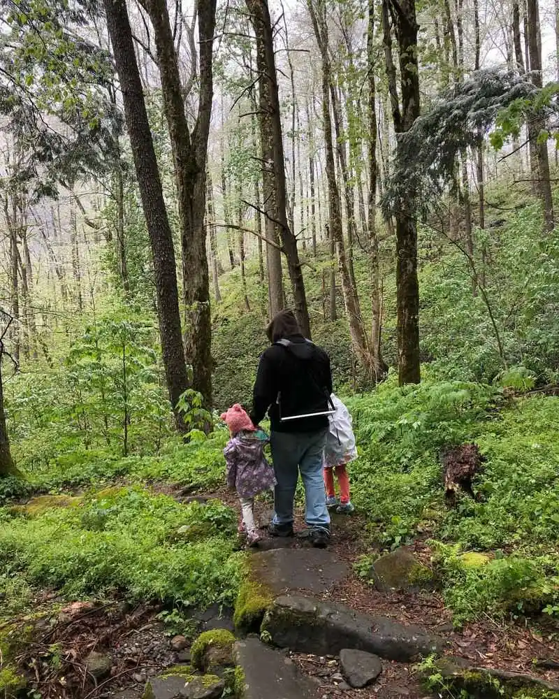 Explore Wildflower Trails at Great Smoky Mountains National Park