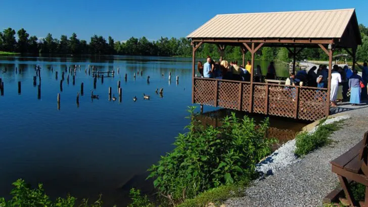 11 Kentucky Lake Towns That Feel Like Tennessee (Without the Tourist Prices)