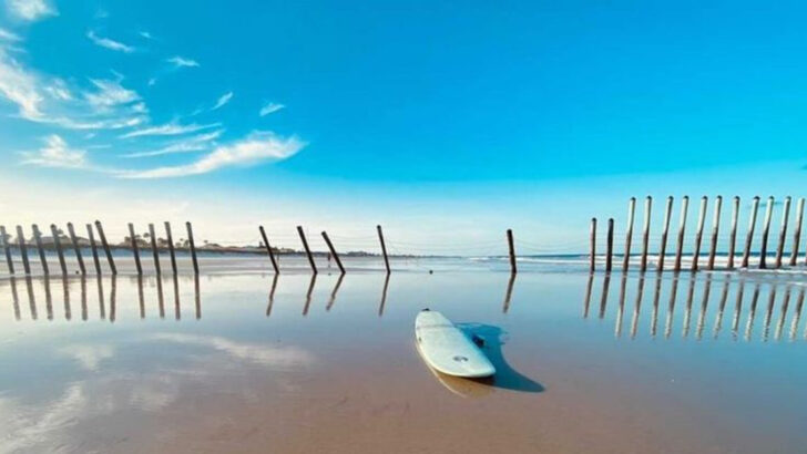 11 Must-See Spots That Show Off Mayport, Florida’s Hidden Coastal Gem