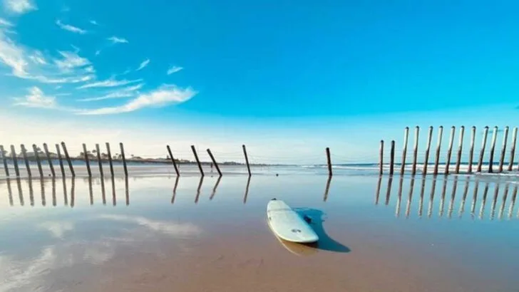 11 Must-See Spots That Show Off Mayport, Florida’s Hidden Coastal Gem