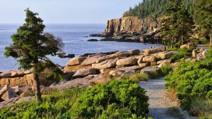 11 National Parks Perfect for Camping, Stargazing and Wildlife (And 5 You Can Skip)