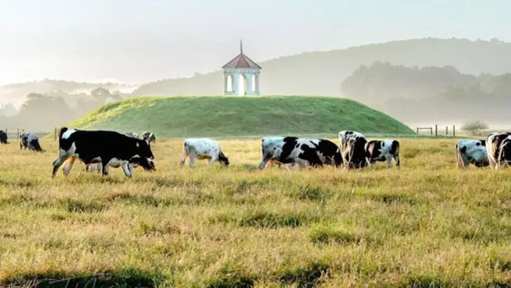 11 Texas Family Dude Ranches You Can’t Skip on a Lone Star State Road Trip