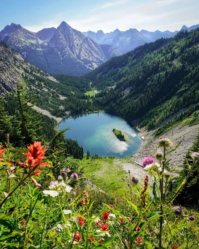 North Cascades National Park, WA – Glacier Lilies and Alpine Meadows